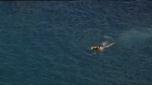 Прыжки в воду со скалы Дива Симеиз.Крым 2017 г..mp4