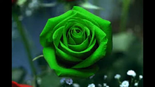 ЗЕЛЕНЫЕ ЦВЕТЫ смотреть онлайн