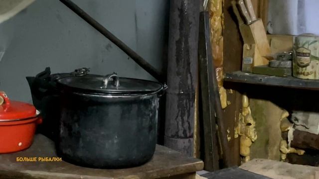 Вот это начало сезона! ПРИХОДИЛИ ВОЛКИ. Ёлку свалил ветер прямо на трассу. Куча дел! смотреть онлайн