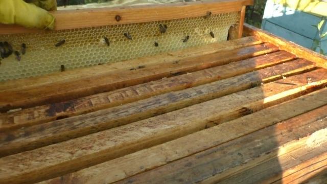 Как отстраиваются строительные рамки в третьих магазинах смотреть онлайн