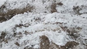 Расхреначили Ниссан Террано на зимнем офроуде