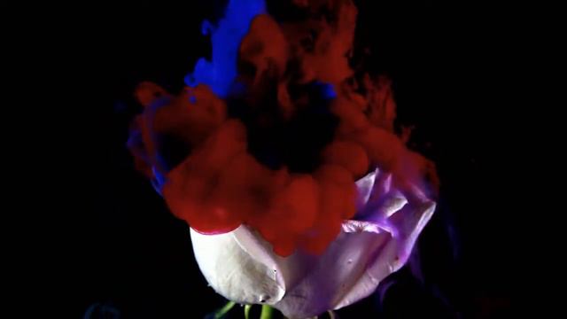 JAKOB MICHAEL REINHOLD LENZ - AN DAS HERZ смотреть онлайн