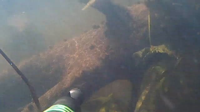 Жаркое лето 2016 - первый прозрак смотреть онлайн