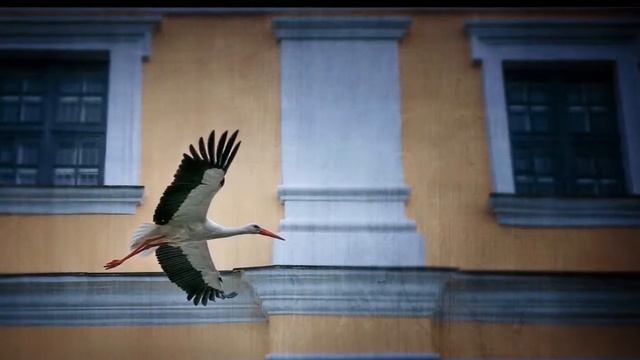 В ГОРОД ПРИХОДИТ ВЕСНА (Пинск весенний) смотреть онлайн