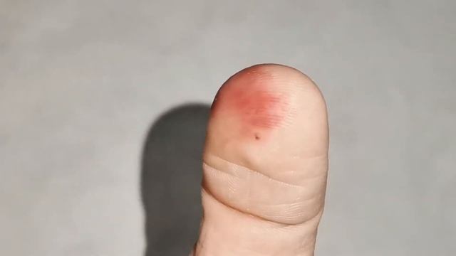 Гигантская многоножка КИВСЯК [ Archispirostreptus gigas ] кивсяки смотреть онлайн