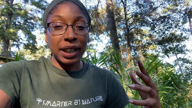 Growing Ginger in the Shade | Gardening with Trees!