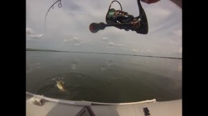 Ловля судака на джиг с лодки