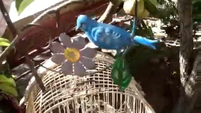 Как оформить приусадебный участок своими руками