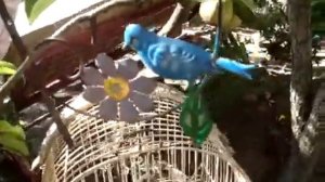 Как оформить приусадебный участок своими руками