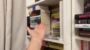 ОГРОМНЫЙ КНИЖНЫЙ АНХОЛ