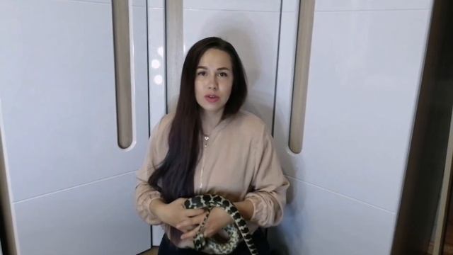 Как приручить агрессивную змею? смотреть онлайн