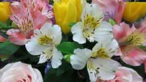 Красивая мелодия!!! Just for you. Джованни Марради.