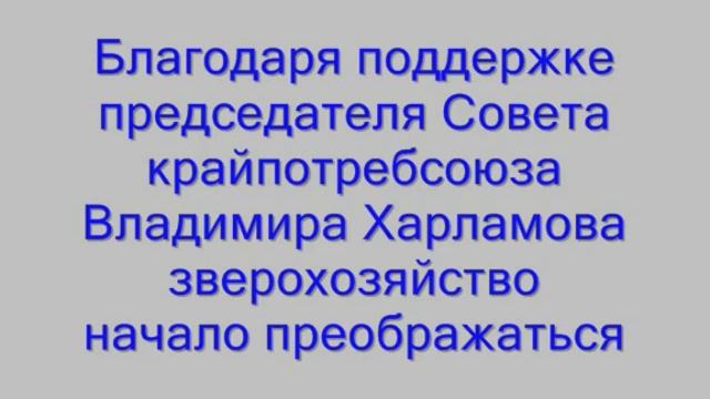 ООО Ладожское зверохозяйство смотреть онлайн