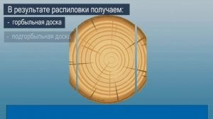Линия для переработки тонкомера №2