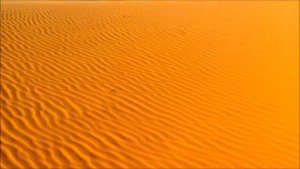 Sting & Cheb Mami - Desert Rose (HD) (LIVE) (Oriental + Desert Video)