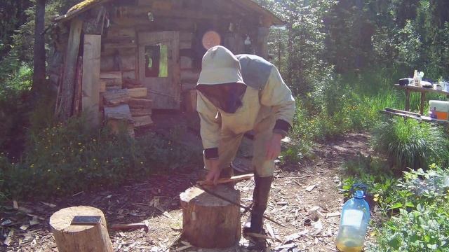 Кошу траву у избы ! Mower Mow. Forest haymaking . смотреть онлайн