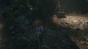 Shadow of the Tomb Raider // Ливень. Найдите Иону. Прохождение игры.