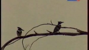 Мамин-Сибиряк. “Плач Рахили“ ⁄ Библейский сюжет ⁄