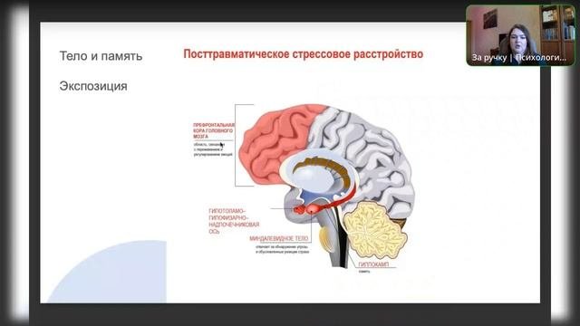 Что такое психотравма? Разбираем основные мифы.
