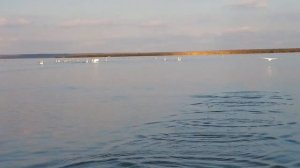 Краснодарские лиманы. Лиман Кущеватый.