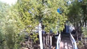 Кафе у озера