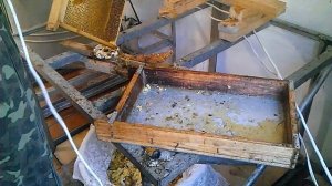 Как откачать запечатанный мёд из стандартных рамок (Своя пасека)