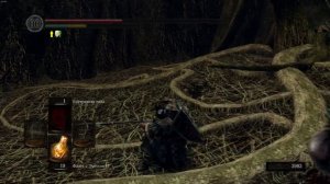 Как попасть в скрытую локацию — Озеро Золы? Dark Souls: Remastered