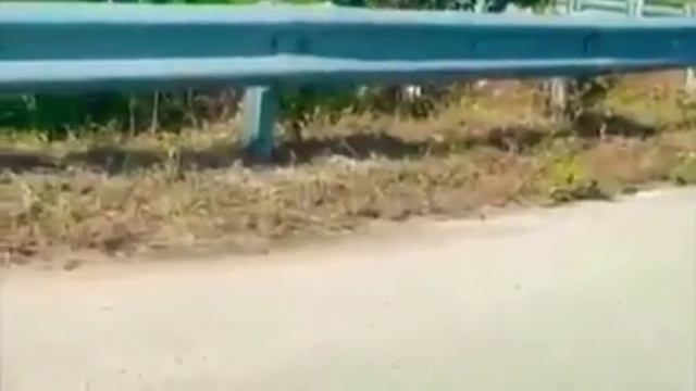 Мама спасает малыша 