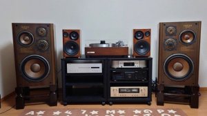 【DIATONE DS-3000】姚斯婷 Yao Si Ting - I Cry【Accuphase E-280】