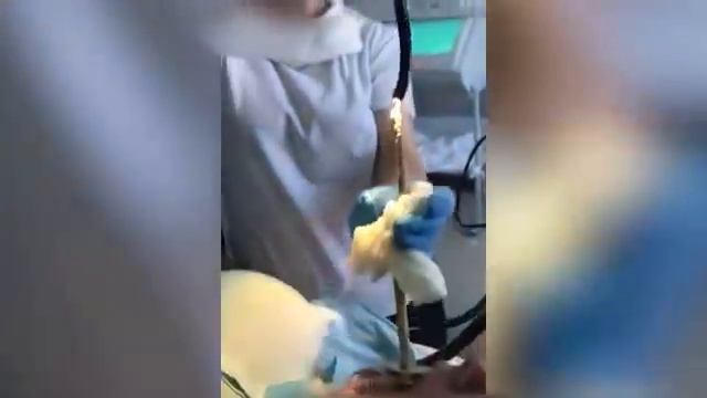 Змея заползла в рот смотреть онлайн