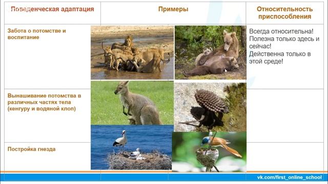 Приспособленность организмов