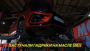 Моторное масло SHELL,застучали гидрики спустя 6000 км. Вернулся на MOTUL