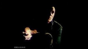 Отрывок из  Лошади в океане