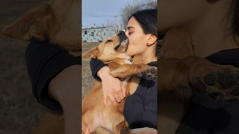 Наши спасеныши уже годами не могут найти семью, может сейчас кто нибудь увидит и приютит хвостика?