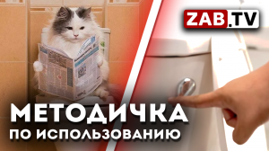 Как правильно пользоваться унитазом