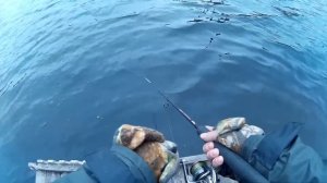 Тест воблера TsuYoki ASTROLOG 115SP.в бассейне на выставке на озере  Королёк и Рыбацкая стрелка