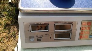 Томаты биколоры. Обзор самых красивых сортов 2021.