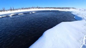 Весенний улов хариуса на Крайнем Севере! Первый хариус этой весны!