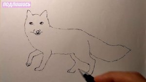 Как нарисовать ХИТРУЮ ЛИСУ) Рисунки для детей и начинающих