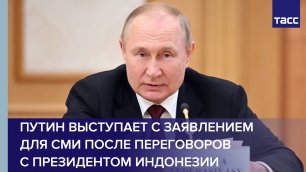 Путин выступает с заявлением для СМИ после переговоров с президентом Индонезии