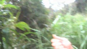 МАЧУ ПИКЧУ Самостоятельно и дешево!