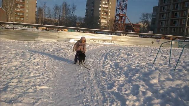 Упражнение "На старт внимание марш" от Лизы и Масяни смотреть онлайн