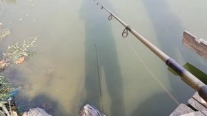 Тестирую набор. Кидаем блесна. поймали ракушку. Рыбалка на спиннинг.