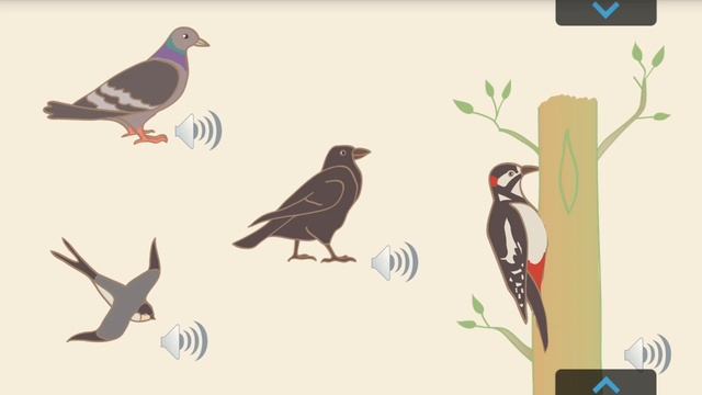 Птицы и животные, детёныши смотреть онлайн