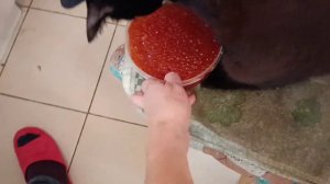 Рынок Теплый стан Вернули деньги за поддельную икру