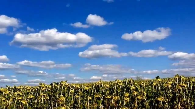 Моя родина великолепна! #UKRAINE #DNEPROPETROVSK смотреть онлайн