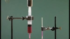 Опыты по физике. Модель гидравлического пресса