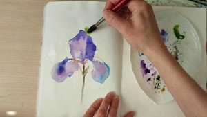 Мастер-класс #99 Ирис акварелью