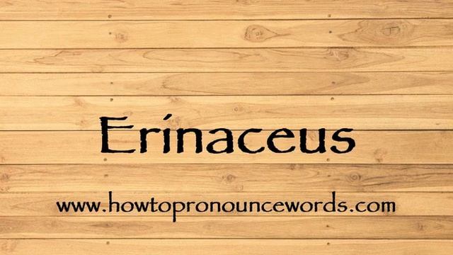 How To Pronounce Erinaceus ? How To say Erinaceus New Video смотреть онлайн