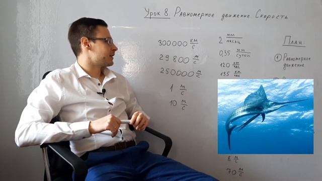 Скорость в природе. (Фрагмент урока. Физика. 7 класс)